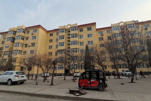 經(jīng)緯廠(chǎng)二生活區(qū)居住體驗(yàn)與周邊房產(chǎn)中介評(píng)價(jià)